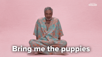 Bring me the puppies