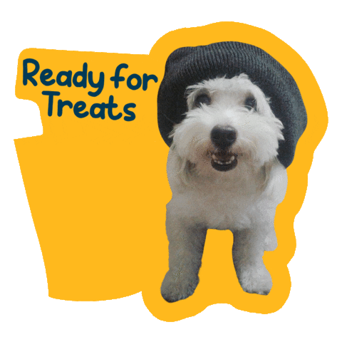 Happy Dog Sticker by Awesome Pawsome Treats