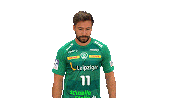 Handball Leipzig Sticker by SCDHFK
