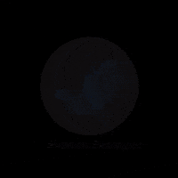Stomach Bypass GIF by Dr. Bortolotti