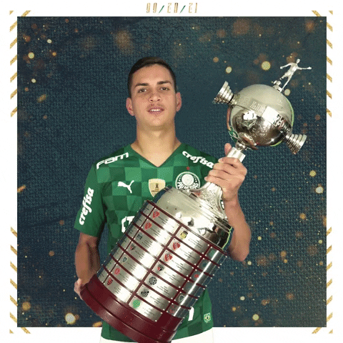 Soccer Futebol GIF by SE Palmeiras