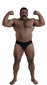 Gay Queer Sticker by Database數據