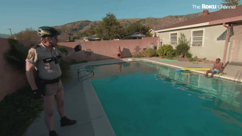 Reno 911 GIF by The Roku Channel