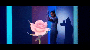 solomonray dance art dancing music video GIF