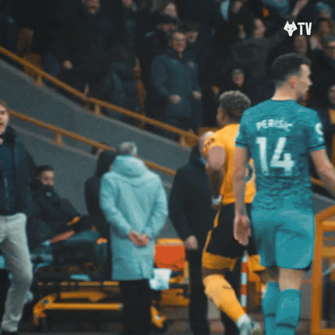 Premier League Hug GIF by Wolves