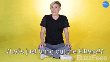 Hannah Hart Kitty GIF by BuzzFeed