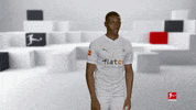 Posing Line Up GIF by Bundesliga
