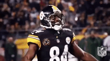 Pittsburgh Steelers Football GIF by NFL