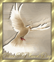 dove GIF
