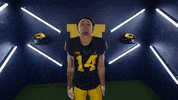 Go Blue College Football GIF by Michigan Athletics