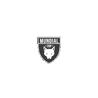 Tuttapposto Sticker by Mundial Cup