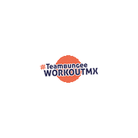 Bungeemx Sticker by The Bungee Workout