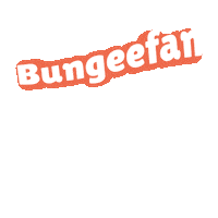 Bungeemx Sticker by The Bungee Workout