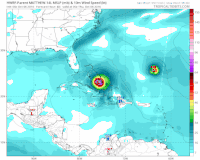 euronews #mathew #nicole GIF