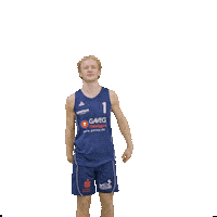 Bensheim Sticker by VfL Basketball