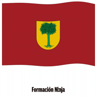 Flag Spain GIF by Formación Ninja