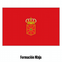 Flag Spain GIF by Formación Ninja