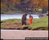 fight bear GIF