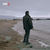 Sea Waiting GIF by TRT