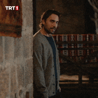 Deniz Baysal GIF by TRT
