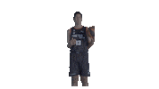 Liga Endesa Basketball Sticker by ACB