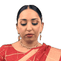 Festival India Sticker by trichak