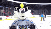 QCStorm storm quad city storm qc storm qcstorm GIF