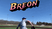 CUWBaseball cuw cuwfalcons cuwbaseball blakebreon GIF