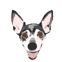Dog Kiss Sticker
