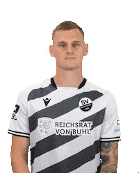 3Liga Sticker by SV Sandhausen