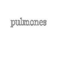 Regina Blandon Pulmones Sticker by Casa Luz Inc