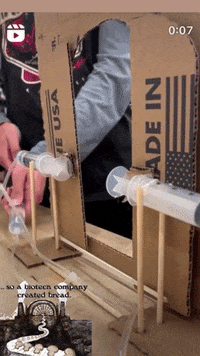 Lab Onf GIF by Alex Boya