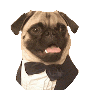 Black Tie Party Sticker by imoji