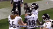 football GIF by NFL