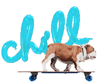 ChurchillTheDog dog cool chill weekend Sticker