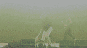 Post Malone Guitar GIF by Coachella