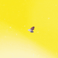 Futbol Argentina GIF by gaseosasecco