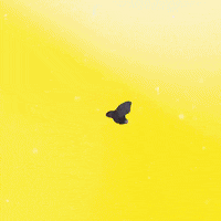 Lucha Igualdad GIF by gaseosasecco