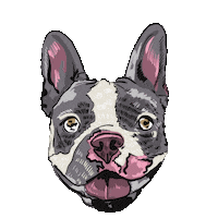 I Love My Dog Doggie Sticker by enchanted grdn