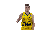 Ewe Baskets Basketball Sticker by EWE Baskets Oldenburg