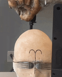 Lab Onf GIF by Alex Boya