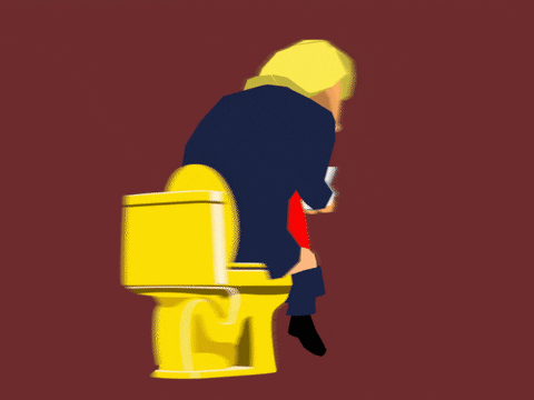 Trump Toilet GIF