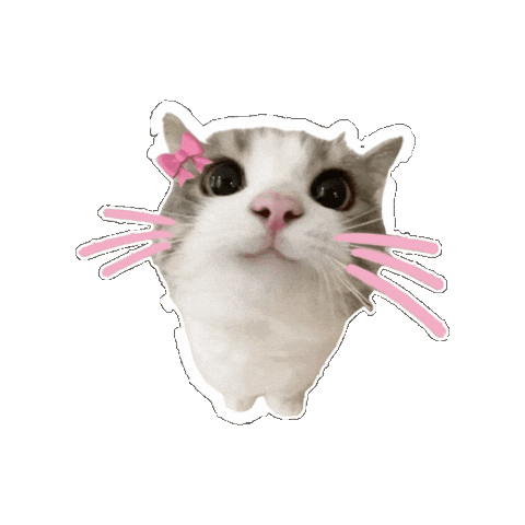 Cat Love Sticker