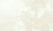 selfie GIF by Blizzard Entertainment