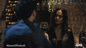 Usa Network Television GIF by Queen of the South