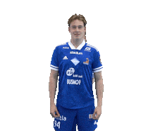 Floorball Salibandy Sticker by F-liiga