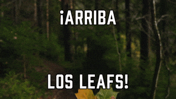 ¡Arriba los Leafs!