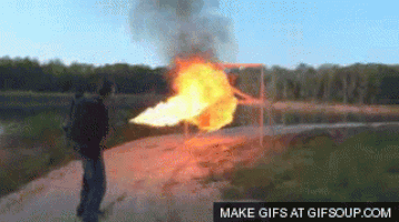 bbq GIF