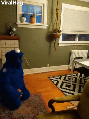 Cookie Monster Costume Confuses Dog
