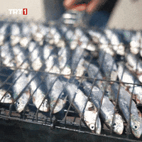Fish Cooking GIF by TRT
